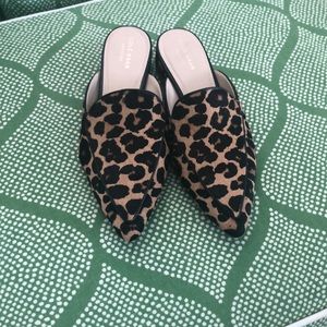 Cole Haan leopard print haircalf mules
